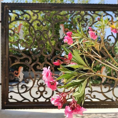 Regal Marine Eforie Nord